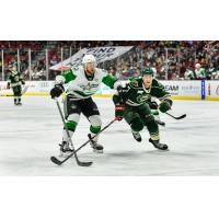 Texas Stars defenseman Joseph Cecconi (left) vs. the Iowa Wild