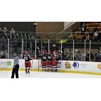 Port Huron Prowlers huddle up after a goal