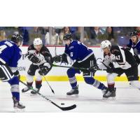 Vancouver Giants centres Milos Roman and Justin Sourdif (right) vs. the Victoria Royals