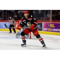 Grand Rapids Griffins right wing Matthew Ford