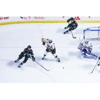 Utah Grizzlies forwards Griffen Molino (left) and Tim McGauley (top) against the Newfoundland Growlers