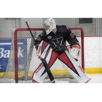 Aberdeen Wings goaltender Henry Welsch