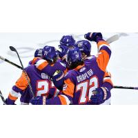 Orlando Solar Bears celebrate following a goal