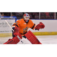 Greenville Swamp Rabbits goaltender Ryan Bednard