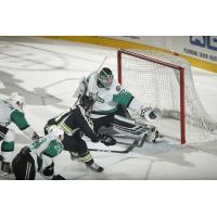 Texas Stars goaltender Landon Bow reaches for a puck against the Chicago Wolves