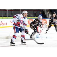 Rochester Americans forward Scott Wilson