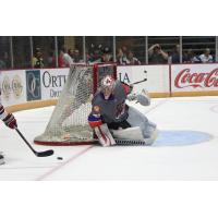 Goaltender Hayden Stewart with the Knoxville Ice Bears