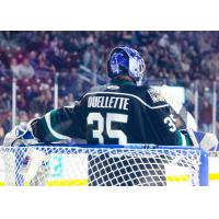 Utah Grizzlies goaltender Martin Ouellette