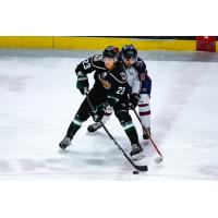 Utah Grizzlies Forward Tim McGauley