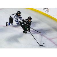 Utah Grizzlies Forward Tim McGauley