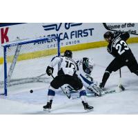 Utah Grizzlies Forward Tim McGauley (right)