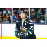 Utah Grizzlies Forward Tim McGauley