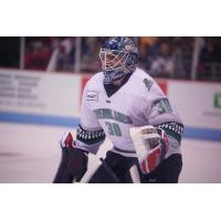 Florida Everblades goaltender Tom McCollum