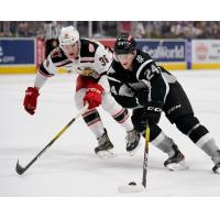 Klim Kostin of the San Antonio Rampage against the Grand Rapids Griffins