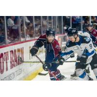 Tulsa Oilers battle the Idaho Steelheads