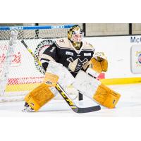 Wheeling Nailers goaltender Emil Larmi