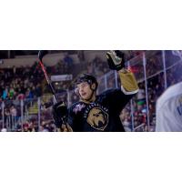 Newfoundland Growlers forward Scott Pooley