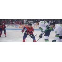 South Carolina Stingrays forward Dylan Steman vs. the Florida Everblades