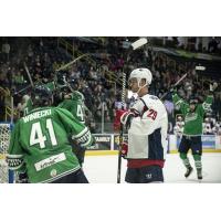 Florida Everblades react after a goal against the South Carolina Stingrays