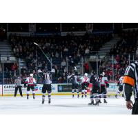 Vancouver Giants left wing Zach Ostapchuk (10) celebrates a goal against the Kelowna Rockets