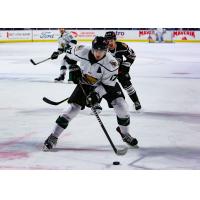 Utah Grizzlies forward Griffen Molino vs. the Rapid City Rush