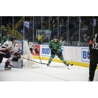 Florida Everblades defenseman Logan Roe vs. the Greenville Swamp Rabbits