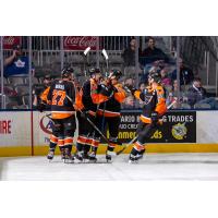 Lehigh Valley Phantoms celebrate a goal against the Toronto Marlies