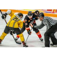 Danbury Hat Tricks vs. the Battle Creek Rumble Bees