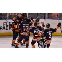 Greenville Swamp Rabbits celebrate a goal