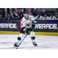 Utah Grizzlies defenseman Taylor Richart