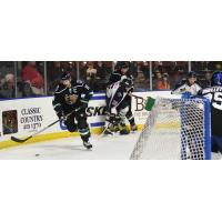 Utah Grizzlies defenseman Taylor Richart