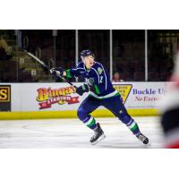 Maine Mariners forward Jake Elmer