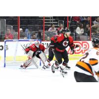 Goaltender Sean Romeo with the Cincinnati Cyclones