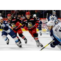Grand Rapids Griffins left wing Matt Puempel vs. the Milwaukee Admirals