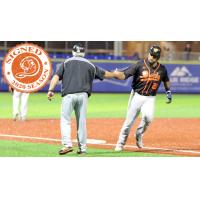 Long Island Ducks infielder Deibinson Romero