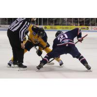 Atlanta Gladiators face off with the South Carolina Stingrays