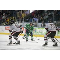 Florida Everblades defenseman Brandon Fortunato (center) vs. the Brampton Beast