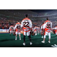 GEICO patch on National Lacrosse League away jerseys