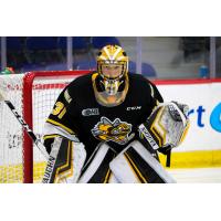 Sarnia Sting goaltender Jordan Kooy