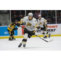 Sarnia Sting forward Anthony Tabak