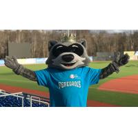 Hudson Valley Renegades mascot Rascal