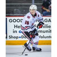 Niagara IceDogs forward Phil Tomasino