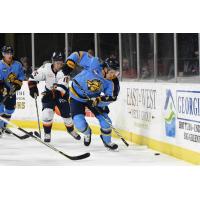 Atlanta Gladiators battle the Greenville Swamp Rabbits