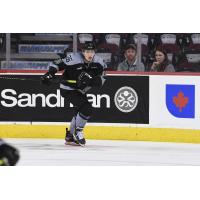 Forward Jonas Peterek with the Calgary Hitmen