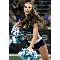 Arizona Sidewinders, dance team of the Arizona Rattlers