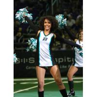 Arizona Sidewinders, dance team of the Arizona Rattlers