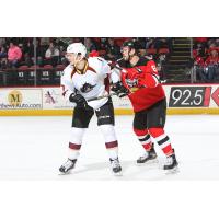 Cleveland Monsters vs. the Binghamton Devils