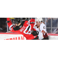 Binghamton Devils defenseman Colton White takes a shot against the Cleveland Monsters