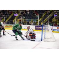 Florida Everblades forward Joe Pendenza takes a shot against the Greenville Swamp Rabbits