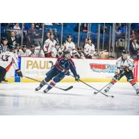 Tulsa Oilers left wing Danny Moyniham against the Kansas City Mavericks
